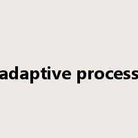 adaptive process是什么意思