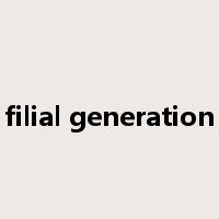 filial generation是什么意思