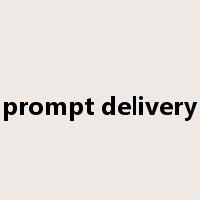 prompt delivery是什么意思