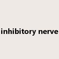 inhibitory nerve是什么意思