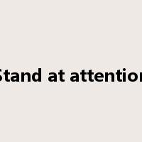 Stand at attention是什么意思
