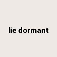 lie dormant是什么意思