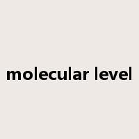 molecular level是什么意思