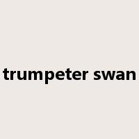 trumpeter swan是什么意思