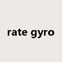 rate gyro是什么意思