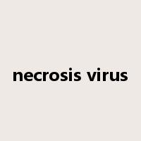 necrosis virus是什么意思