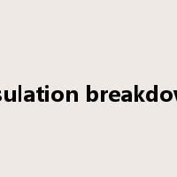 insulation breakdown是什么意思