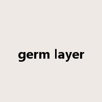 germ layer是什么意思