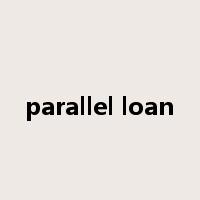 parallel loan是什么意思