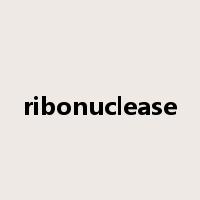 ribonuclease是什么意思