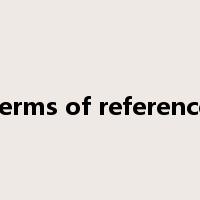 terms of reference是什么意思