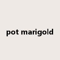 pot marigold是什么意思