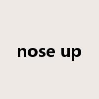 nose up是什么意思