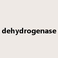 dehydrogenase是什么意思