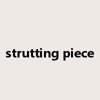 strutting piece是什么意思