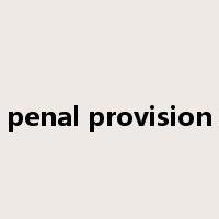 penal provision是什么意思