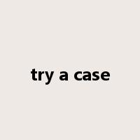 try a case是什么意思