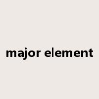 major element是什么意思