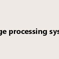 image processing system是什么意思