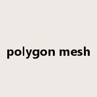 polygon mesh是什么意思