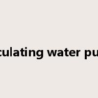 Circulating water pump是什么意思