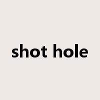 shot hole是什么意思