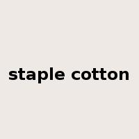 staple cotton是什么意思