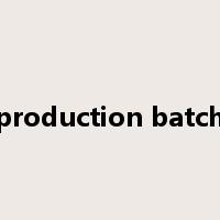production batch是什么意思