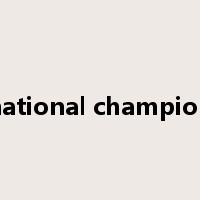 national champion是什么意思