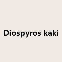 Diospyros kaki是什么意思