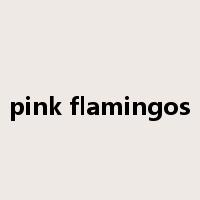 pink flamingos是什么意思