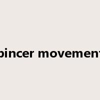 pincer movement是什么意思
