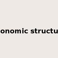 economic structure是什么意思