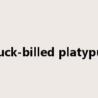 duck-billed platypus是什么意思