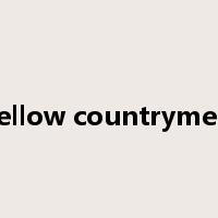 fellow countrymen是什么意思