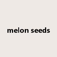 melon seeds是什么意思