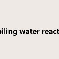 boiling water reactor是什么意思