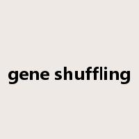 gene shuffling是什么意思