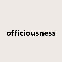 officiousness是什么意思
