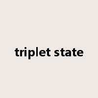 triplet state是什么意思