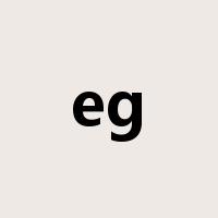 eg是什么意思
