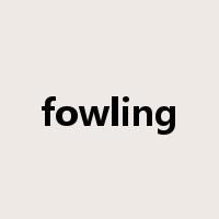 fowling是什么意思