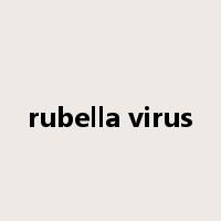 rubella virus是什么意思