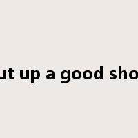 put up a good show是什么意思