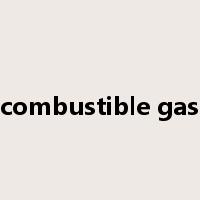 combustible gas是什么意思