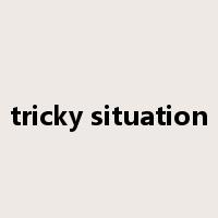 tricky situation是什么意思