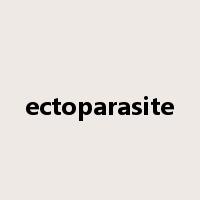 ectoparasite是什么意思