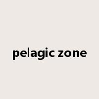 pelagic zone是什么意思