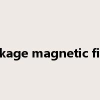leakage magnetic field是什么意思