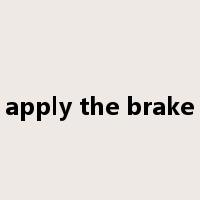 apply the brake是什么意思